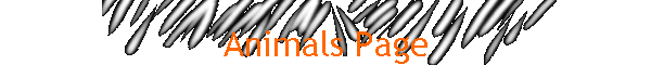 Animals Page