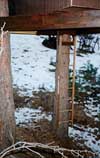 Ladder_sm.JPG (10723 bytes)