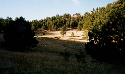 Origvall_sm.jpg (1621 bytes)